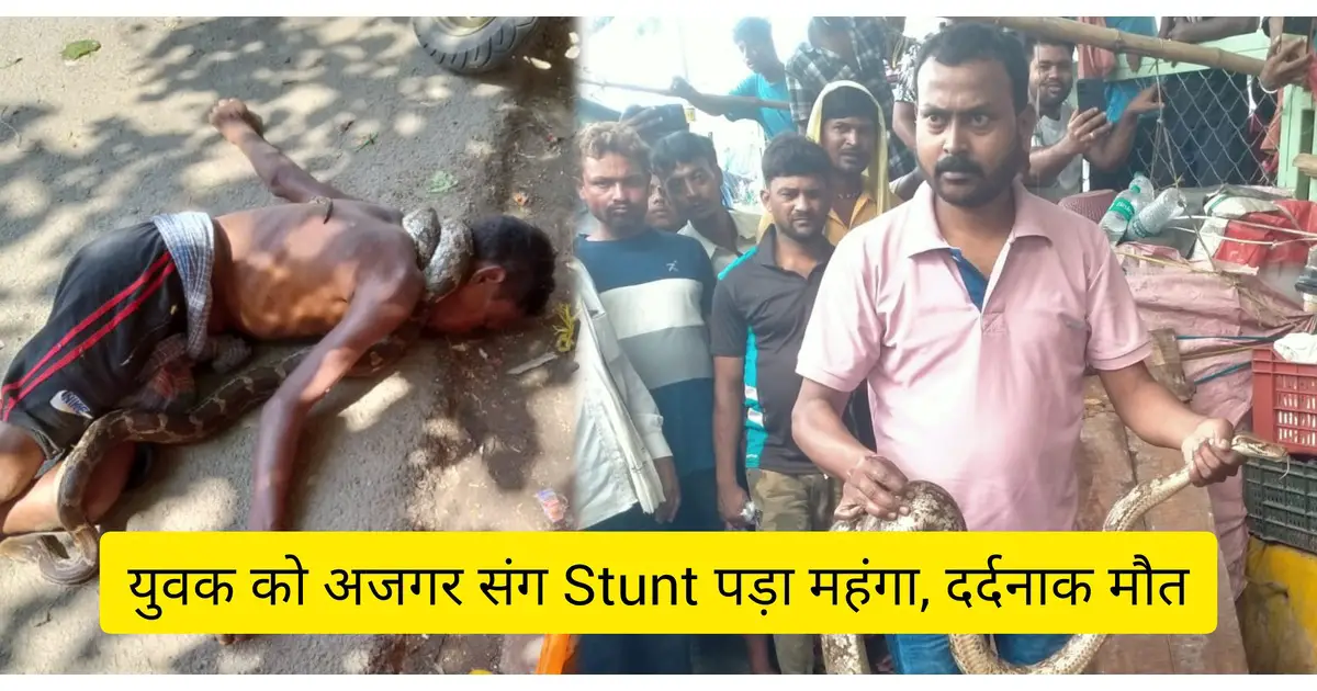 Jamshedpur : गले में अजगर सांप लेकर Stunt करना पड़ा महंगा, युवक की दर्दनाक मौत, मानगो थाना क्षेत्र की है घटना